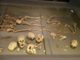 Mass grave of beheaded Vikings. They surrendered. Wusses.
